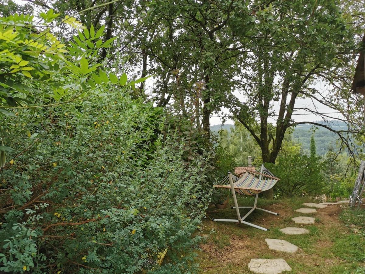 Chambre Chez L'Habitant A La Campagne Sidobre Burlats Eksteriør bilde